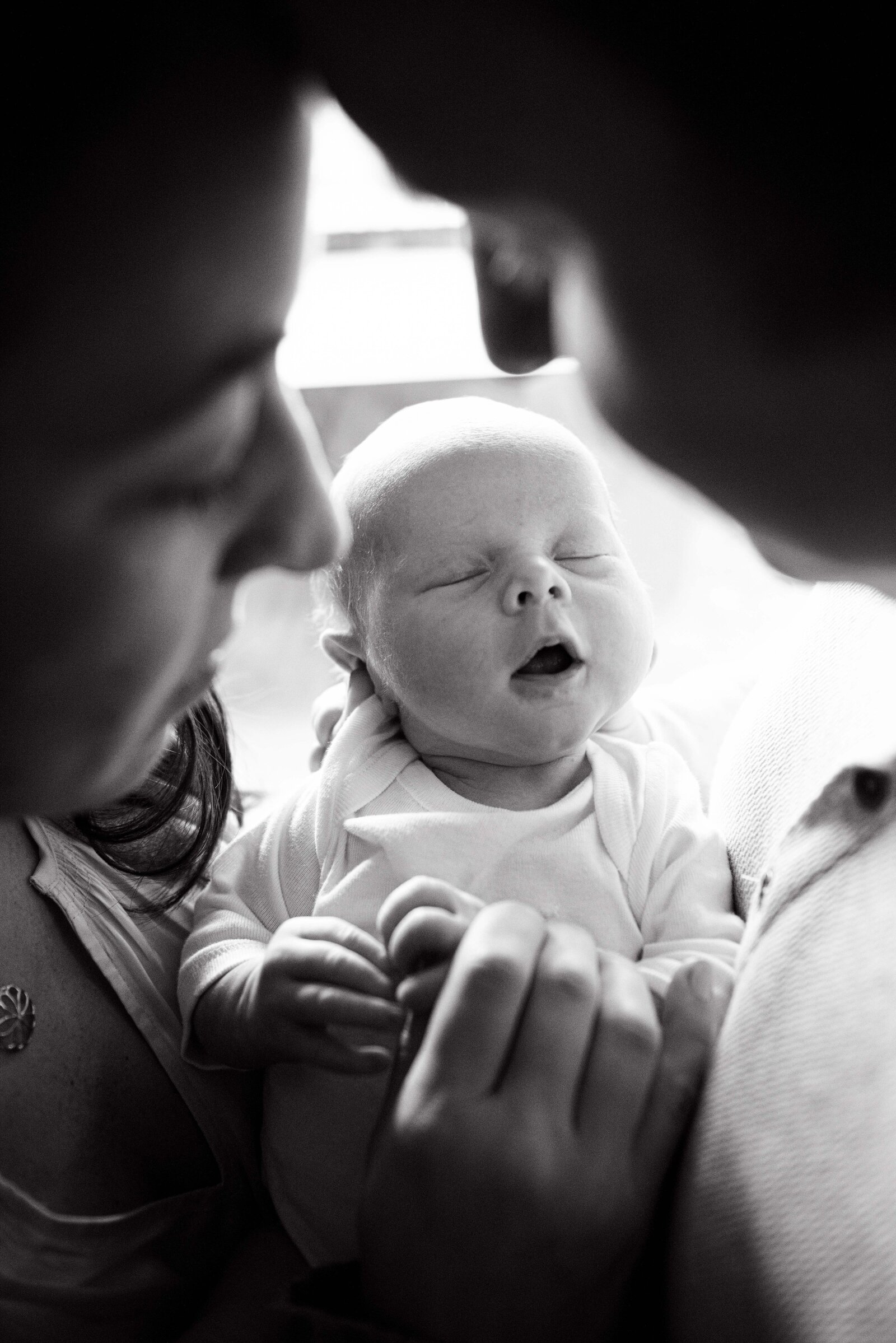 Newborn_Photography_Purcellville_Virginia_Minikin_Photography_2