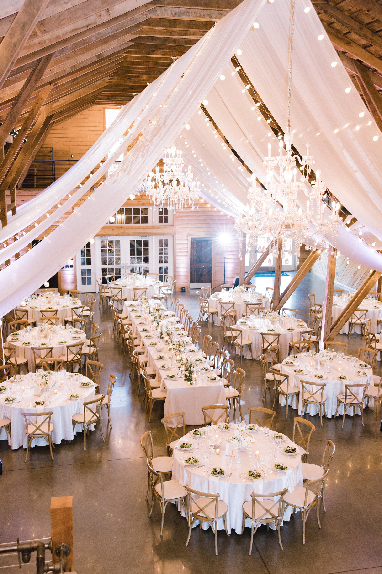 KushnerWedding_5C5A3542