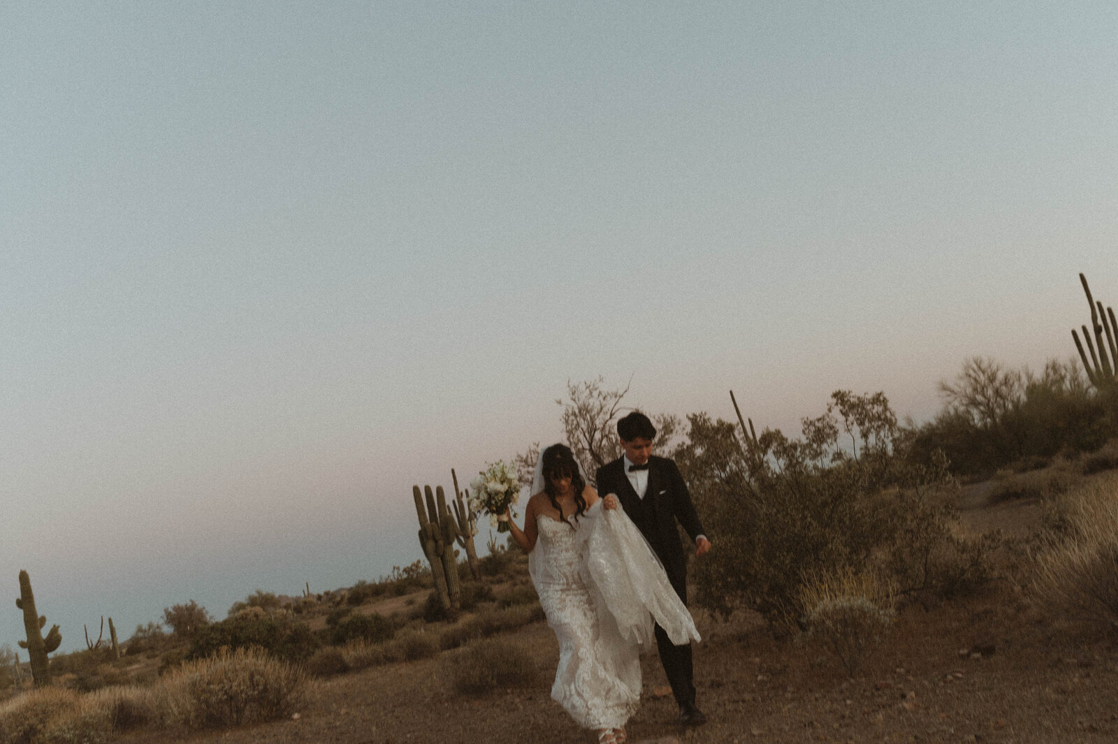TheCarmonasWeddingAZ-1130