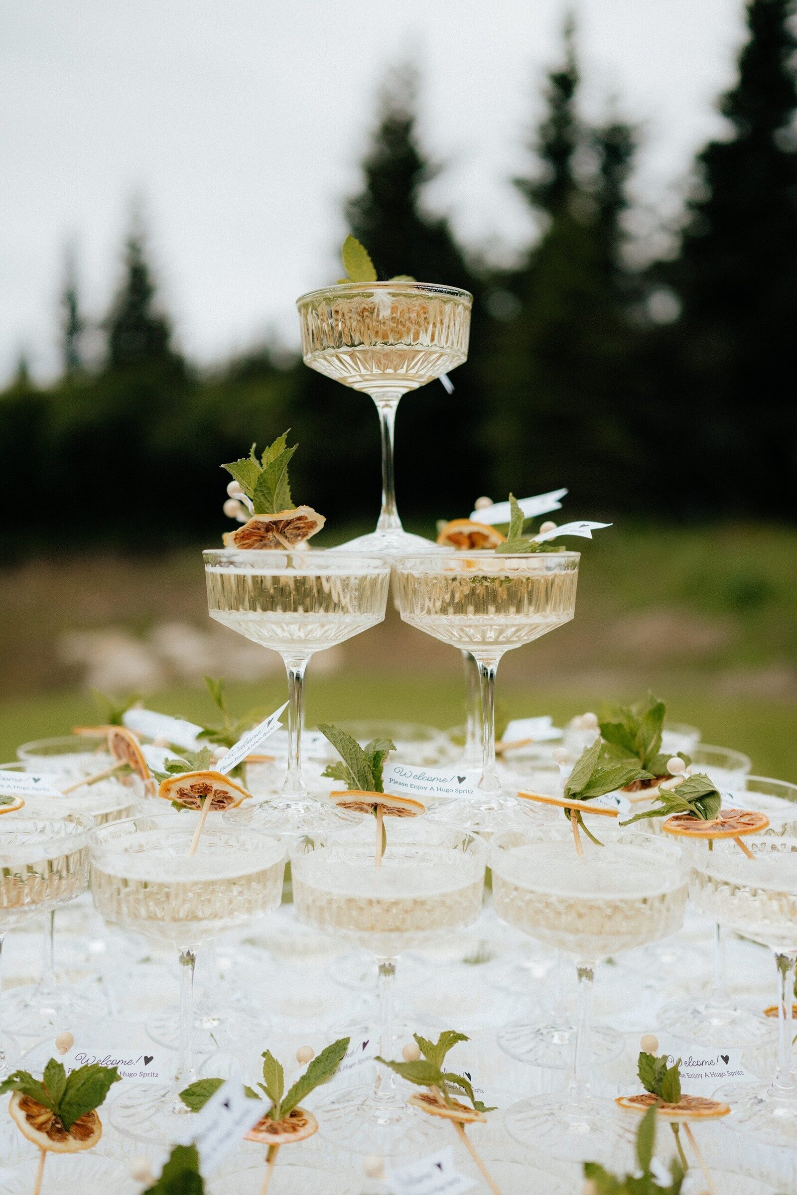 Merrick-Wedding_Homer-Alaska-Wedding_EmeliaKPhotography-12