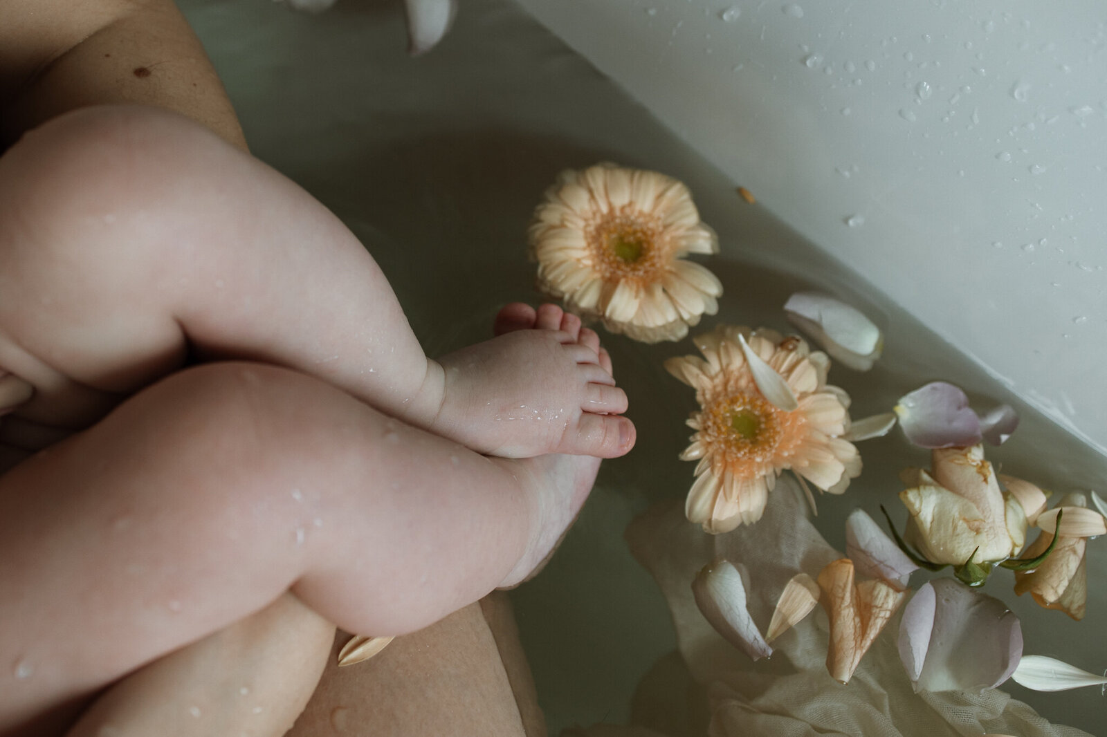 zwangerschapsfotoshoot fotoshoot baby gezins fotoshoot fotograaf eindhoven fotoshoot valkenswaard trouwfotograaf bruidsfotografie valkenswaard