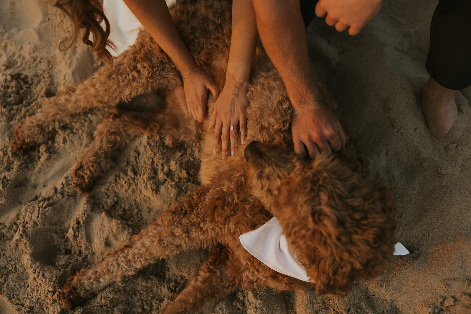 Rebeca Lyn Photography-9