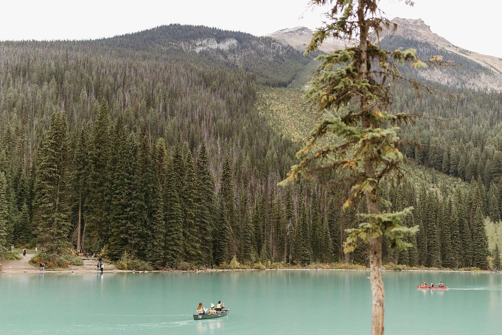 EmeraldLake-Wedding-V&C-MintPhoto-160