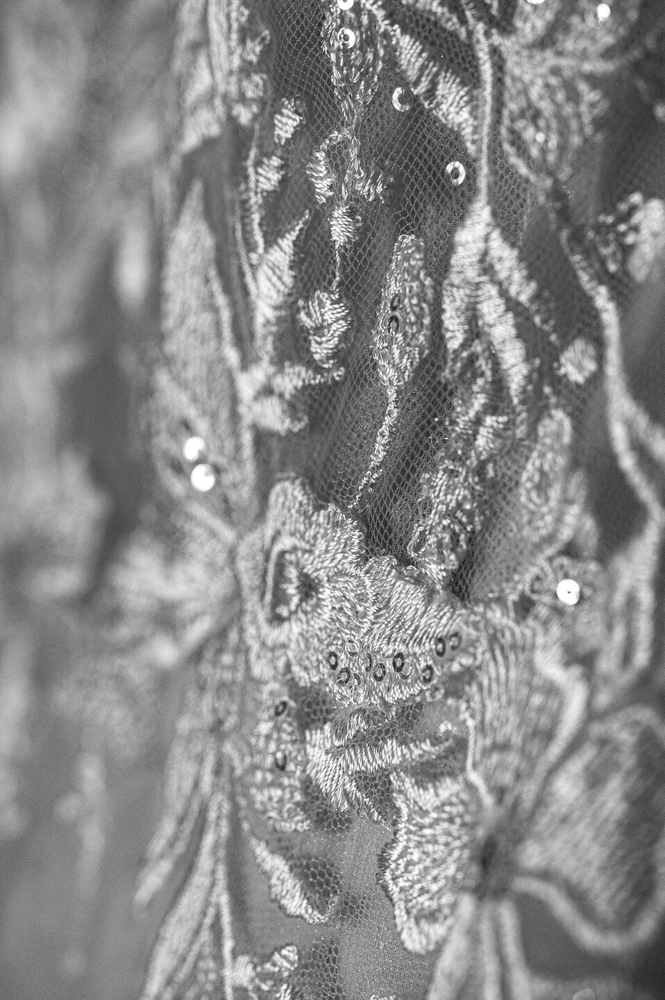 dentelles-bride-dress