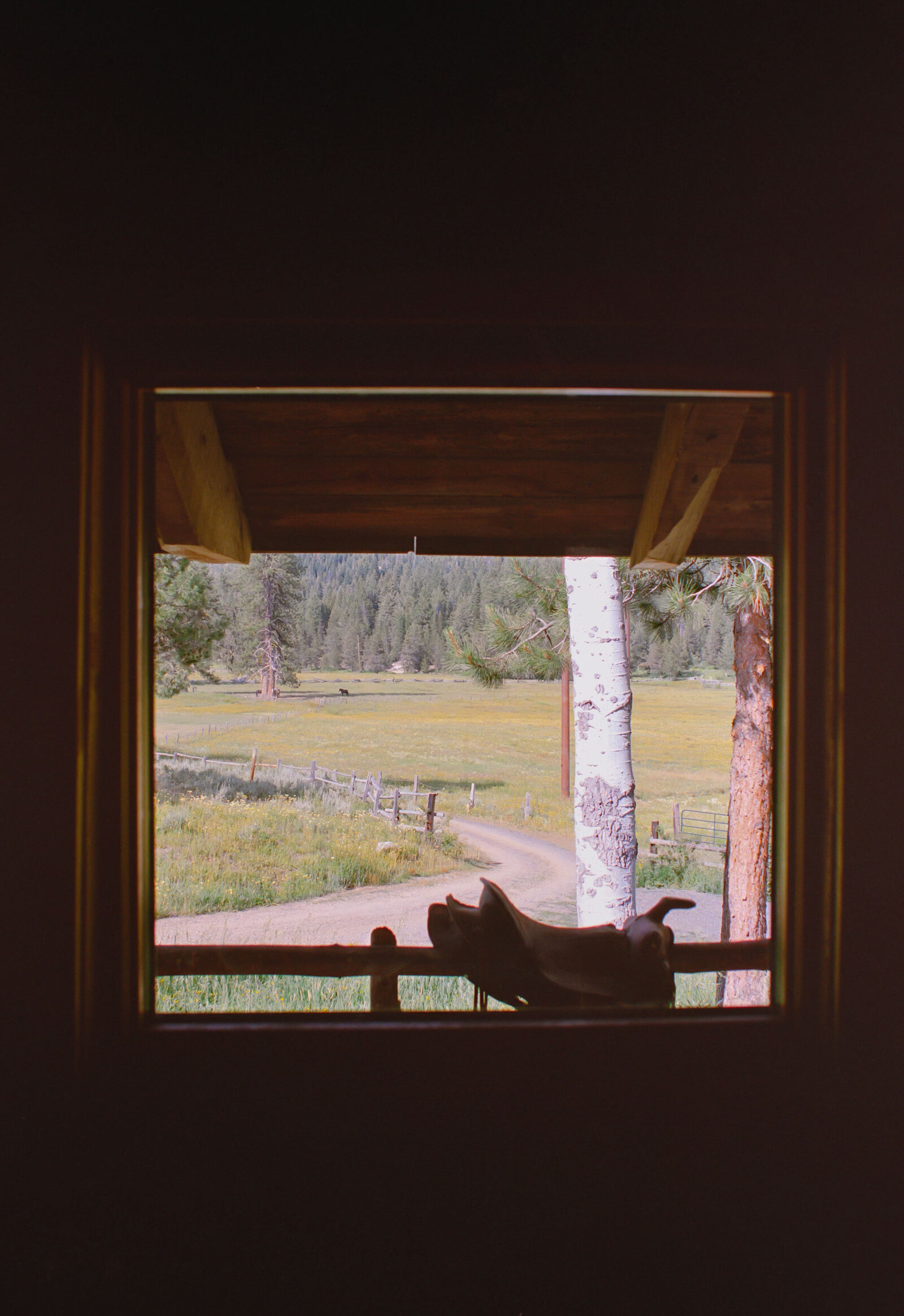 Jess-Buckley-Wedding-Photo-Idaho-Ranch-75