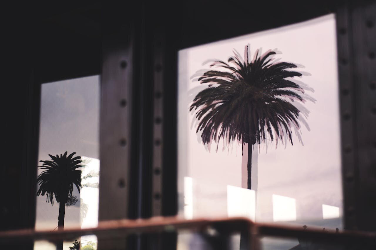 pexels-timmossholder-912118