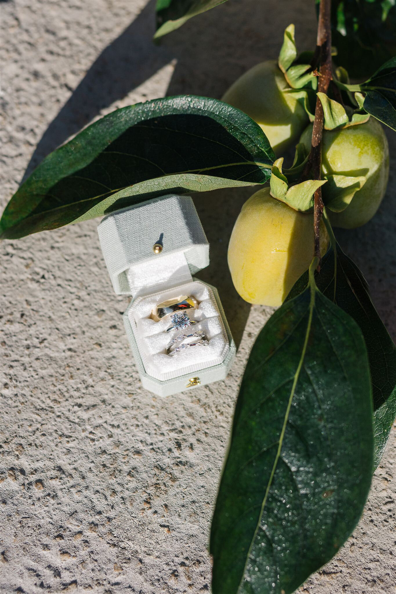 014-carolina-daniel-wedding-tea-ceremony-noir-9-creatives-2V2A4181_websize