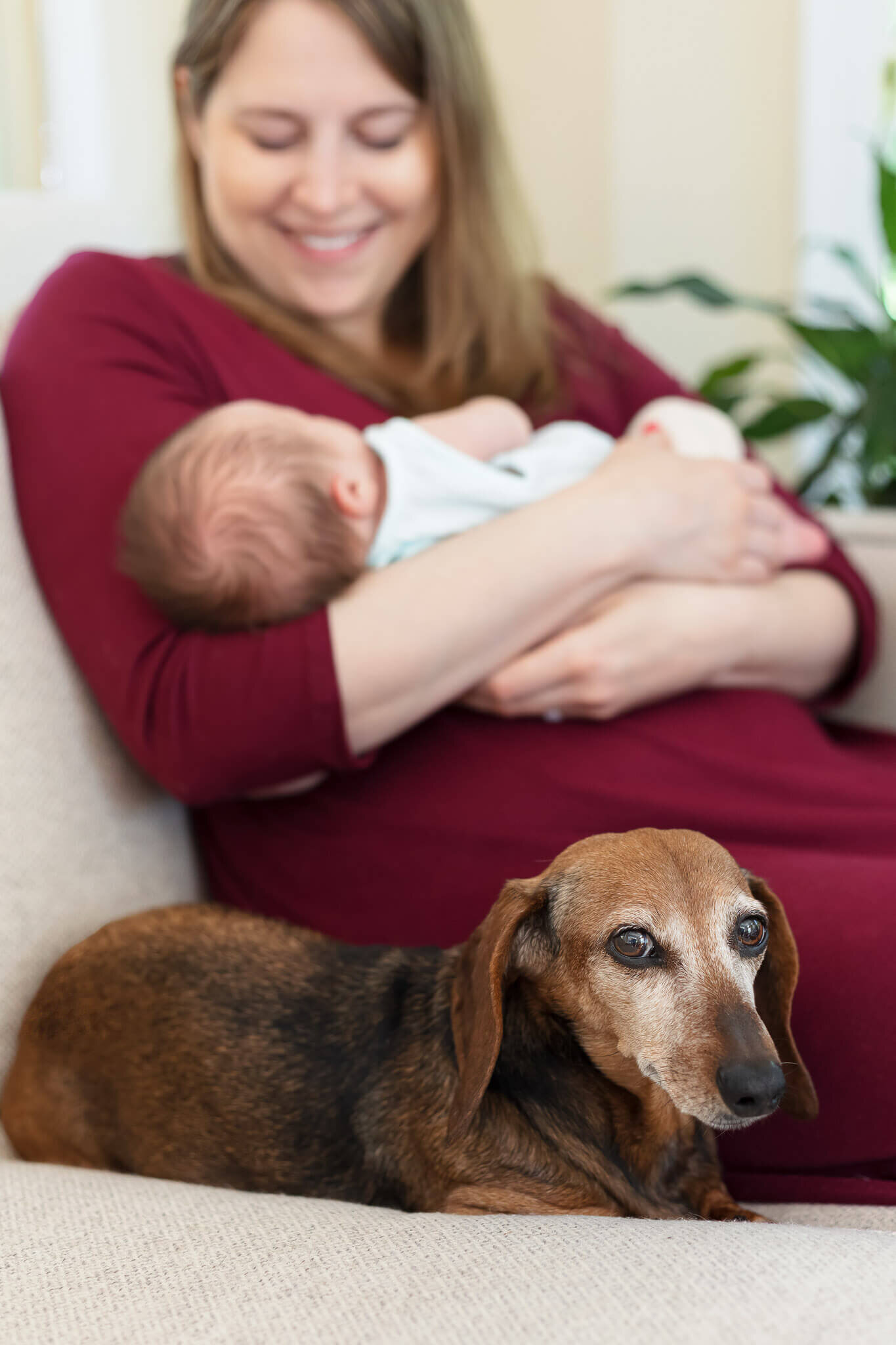 A Manassas mom holding her newborn and sitting next to her dog.