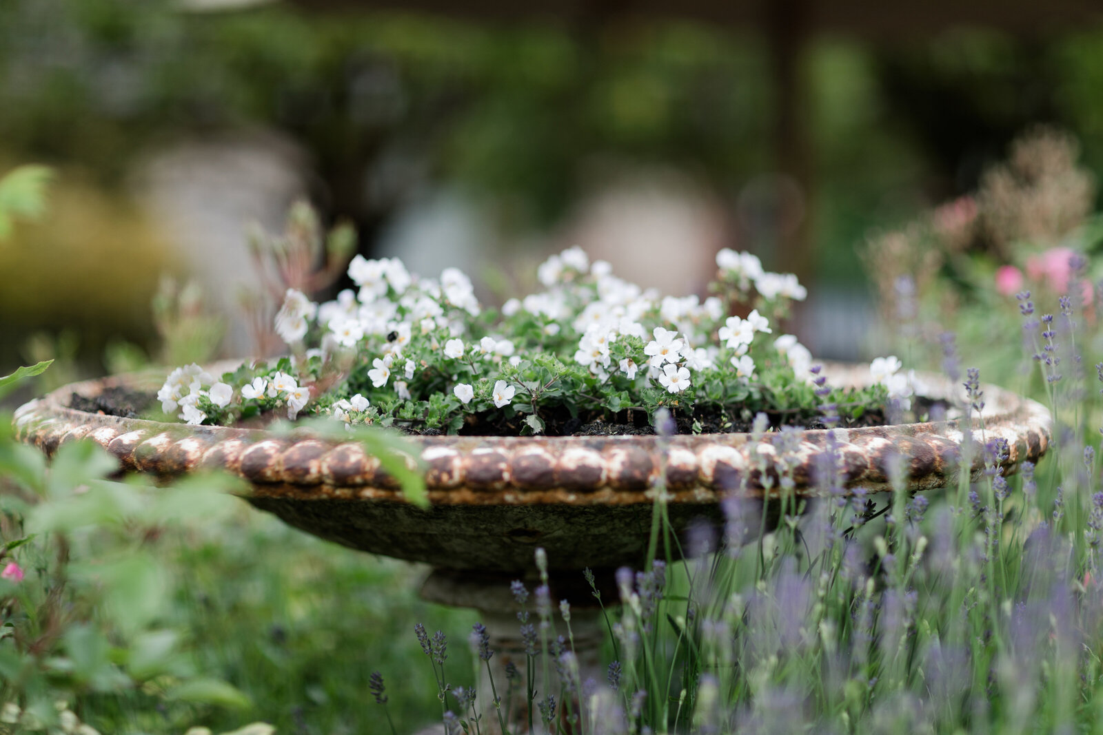 0263 country weddings at Upwaltham Barns in West Sussex