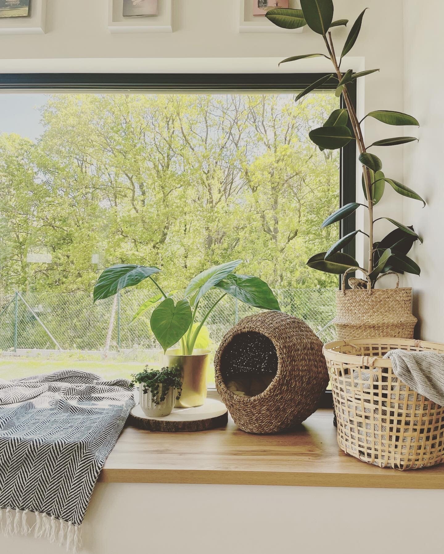 7AE31761-ABD6-4CD3-8292-F0C527DCA813