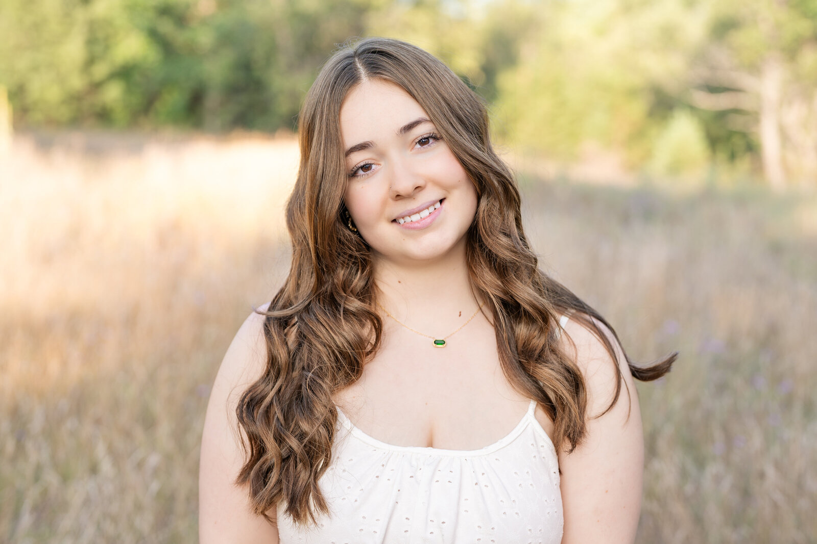 iron-mountain-senior-photographer