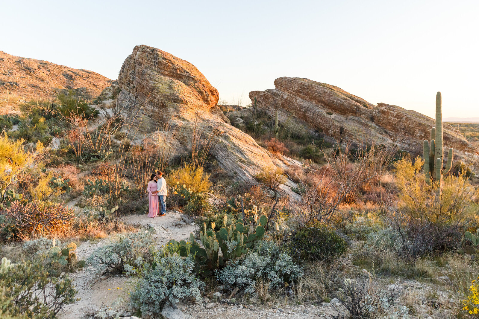 this couple got engaged in Saguaro National Park