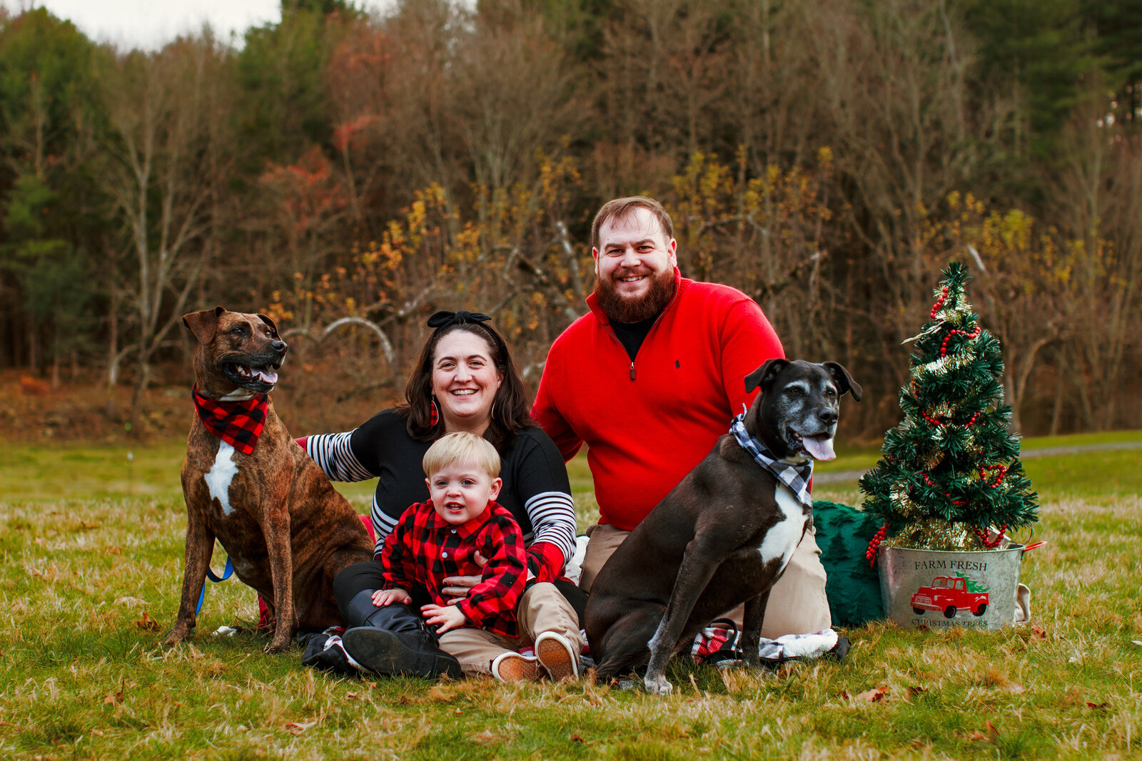 PoirierHolidayMinis-1