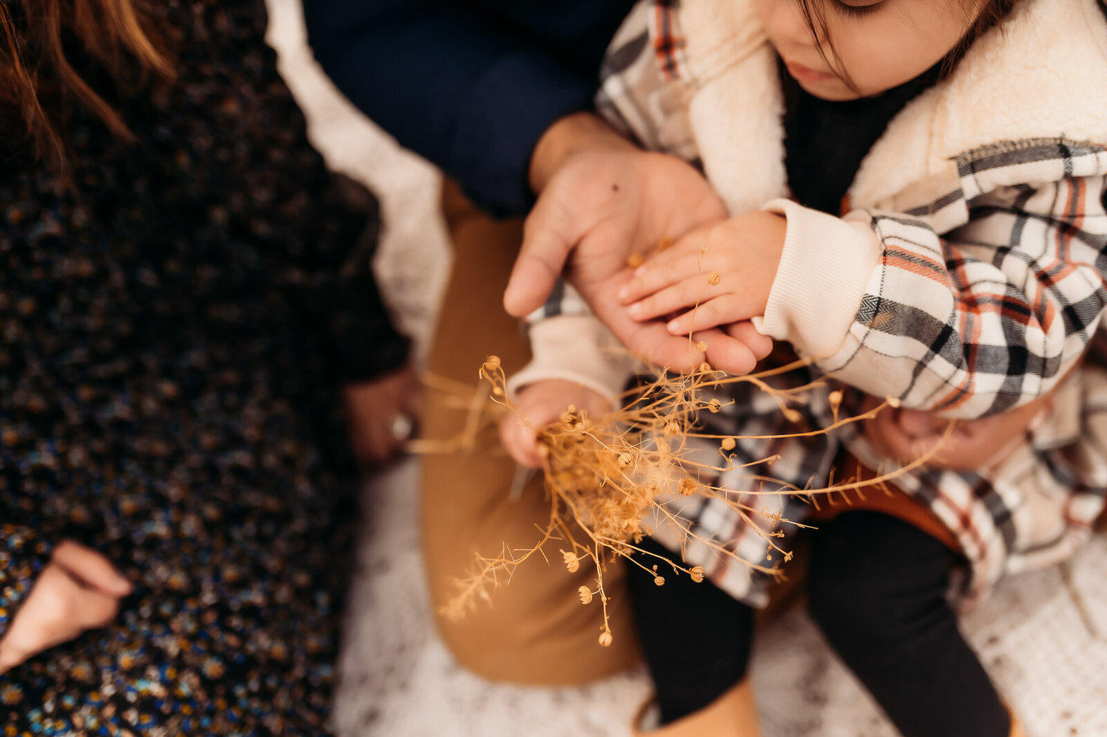 East Texas Family Photographer-3
