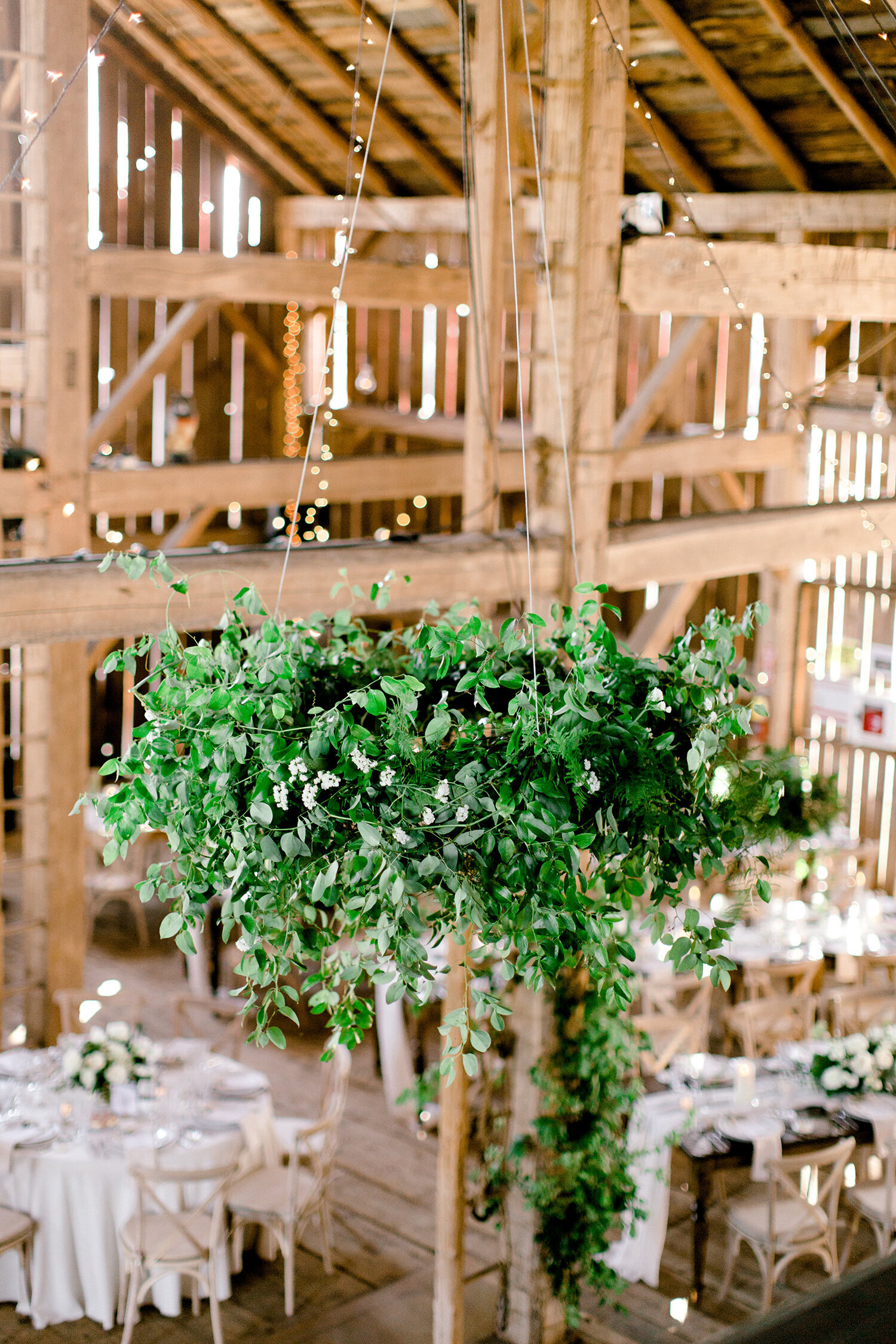 Cambium Farms Forever Wildfield Wedluxe Richelle Hunter 5