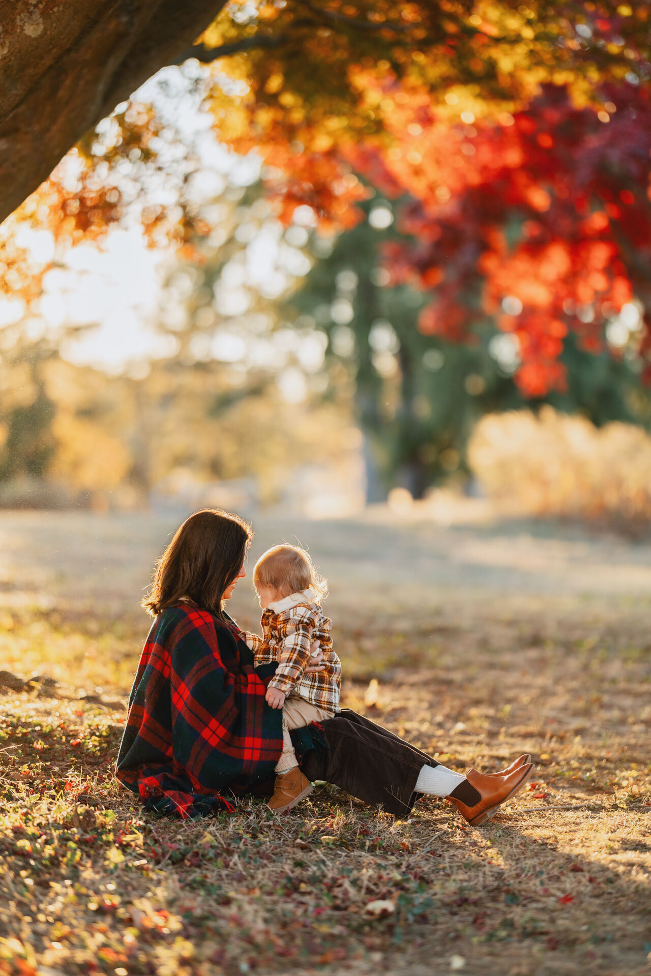 nj-family-photographer-alicia-seeley-46