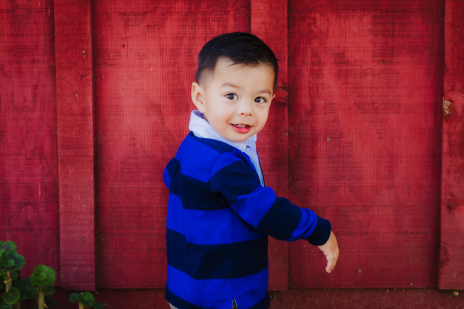 Family Photographer, a boy stands curious and happy before a red fence