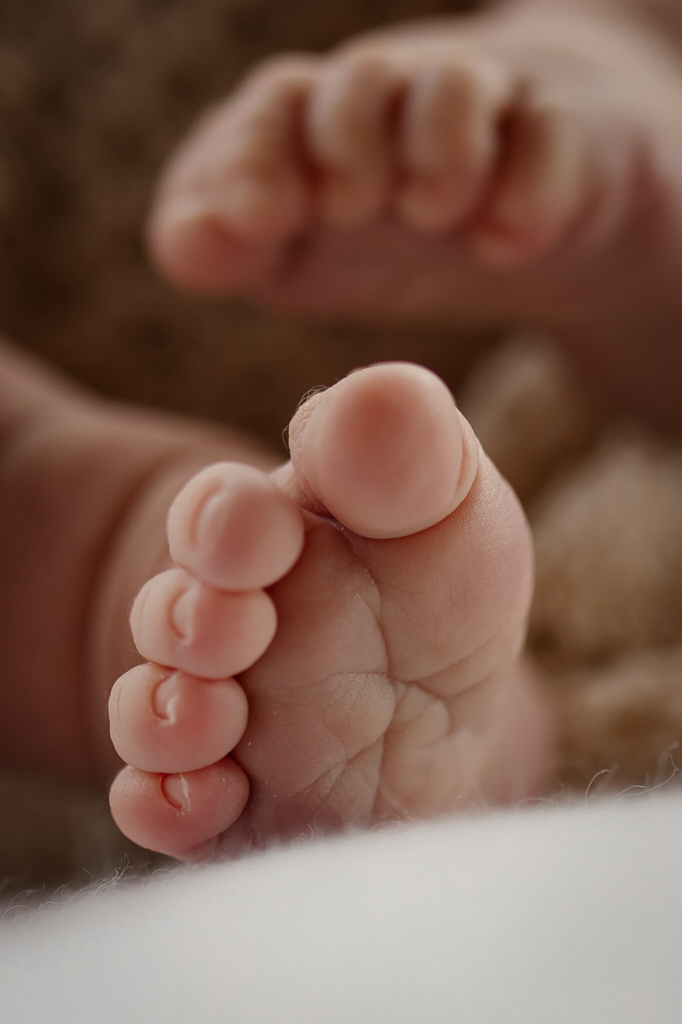 Newborn toes peeking out of a knit wrap, captured by Hawke’s Bay maternity and newborn photographer in soft, emotive style