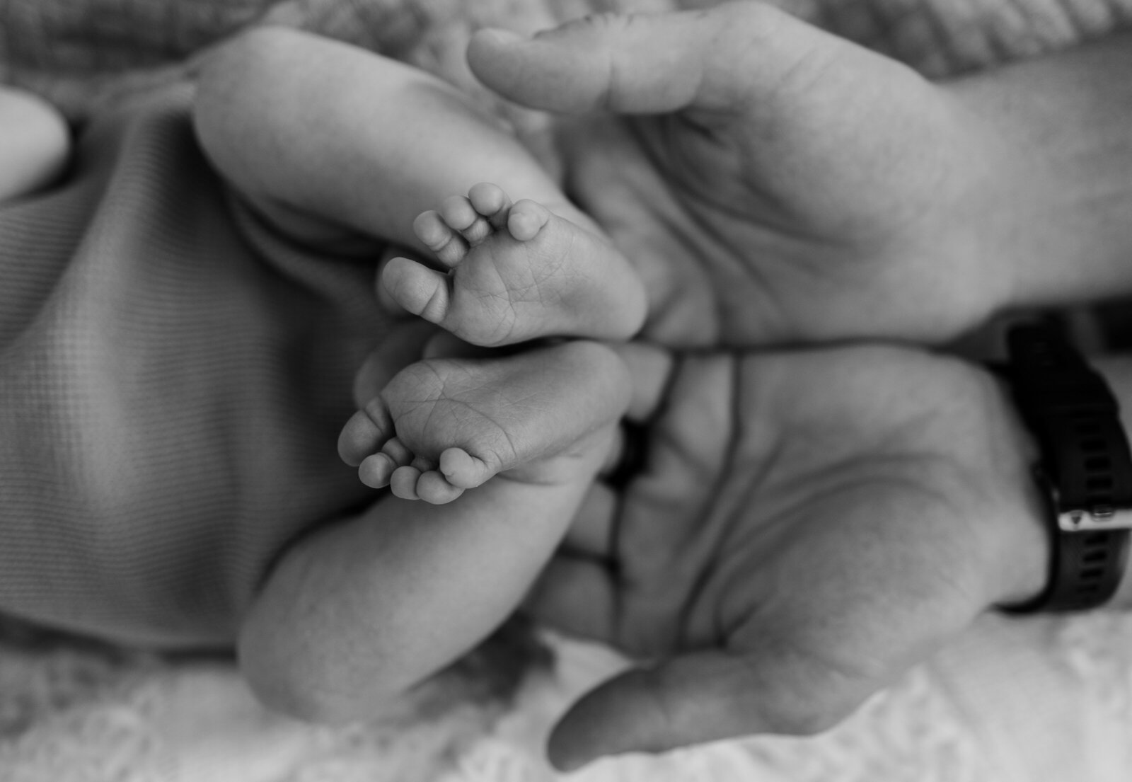 baby toes in hands