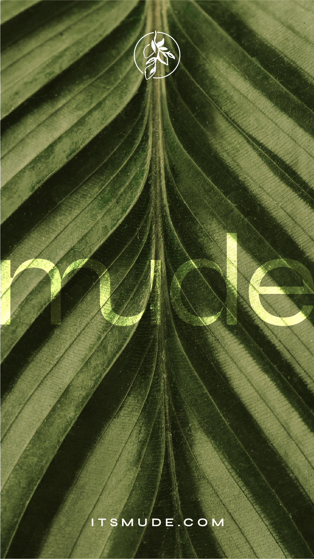 MUDE-MOCKUP-9