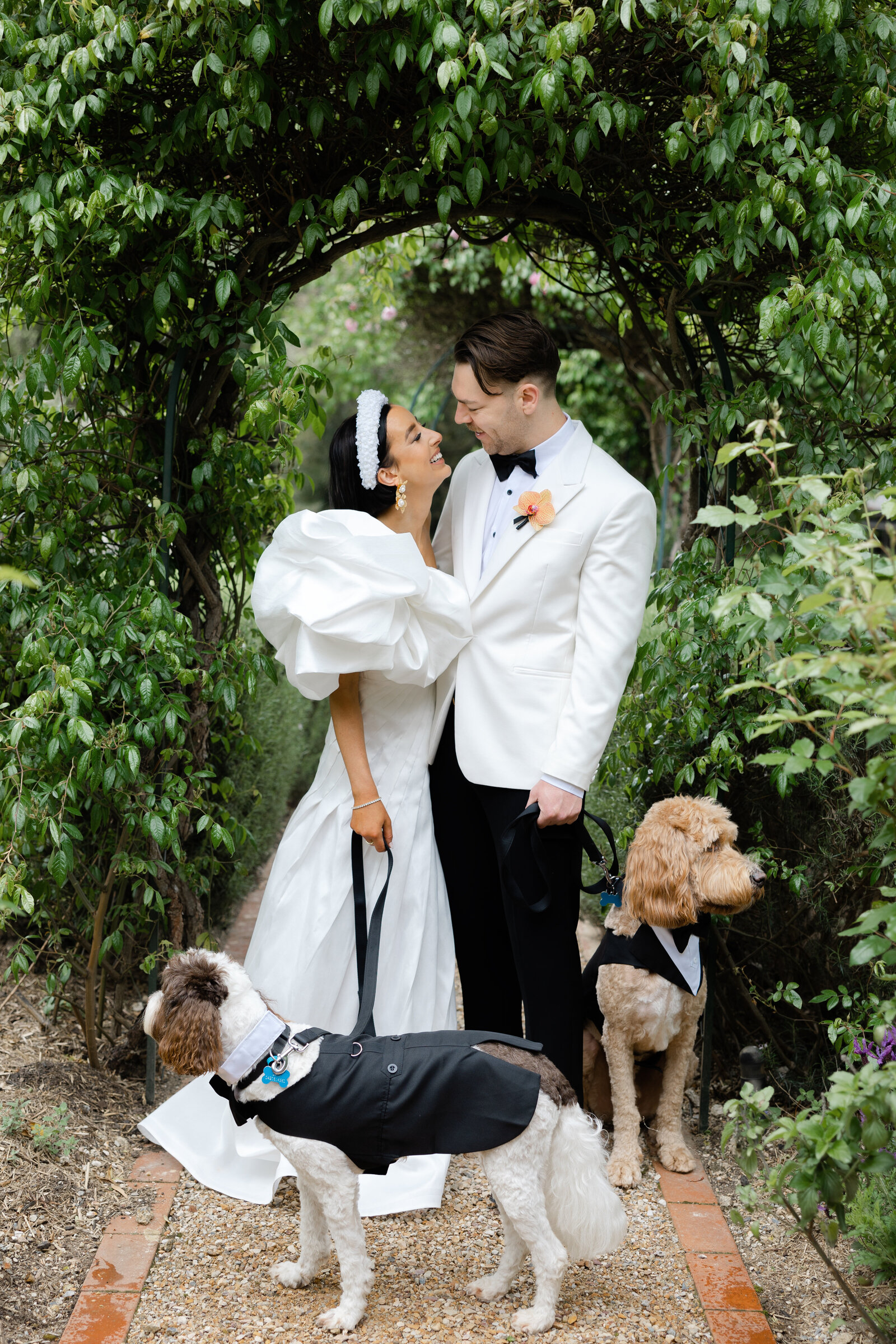 Bridal couple with dogs Melbourne