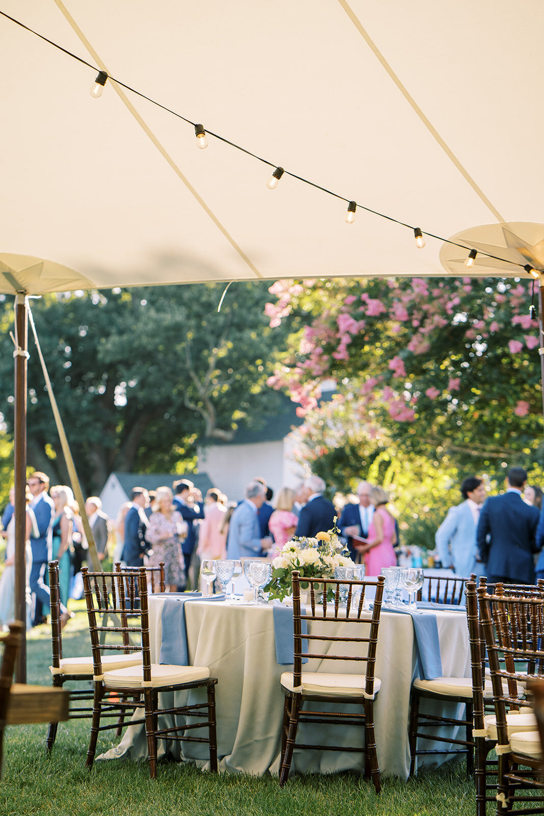 rachelpearlmanphotography_carlinivalis-2392