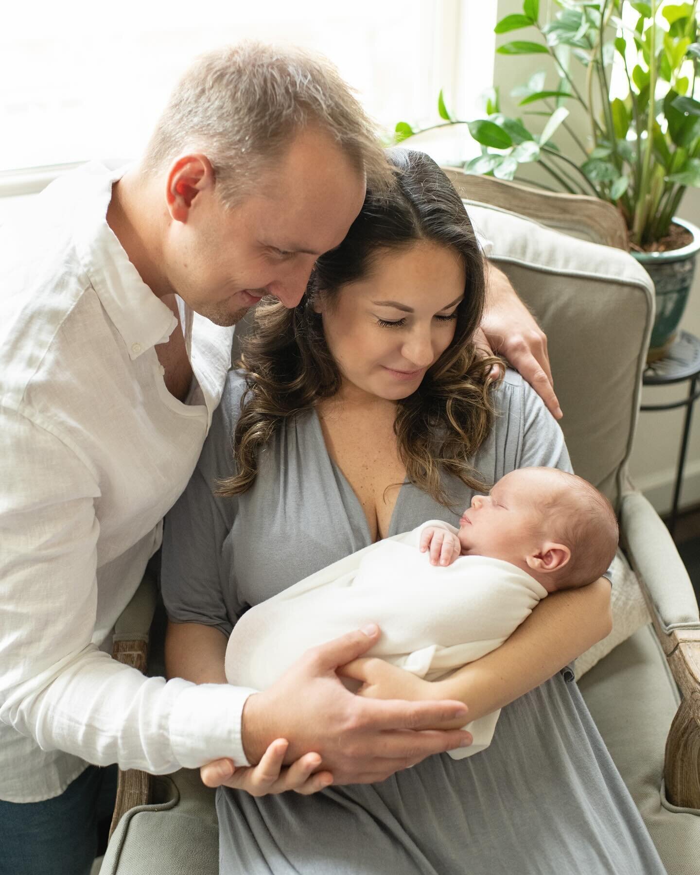 new family starting lovingly at newborn baby by Moments in Light