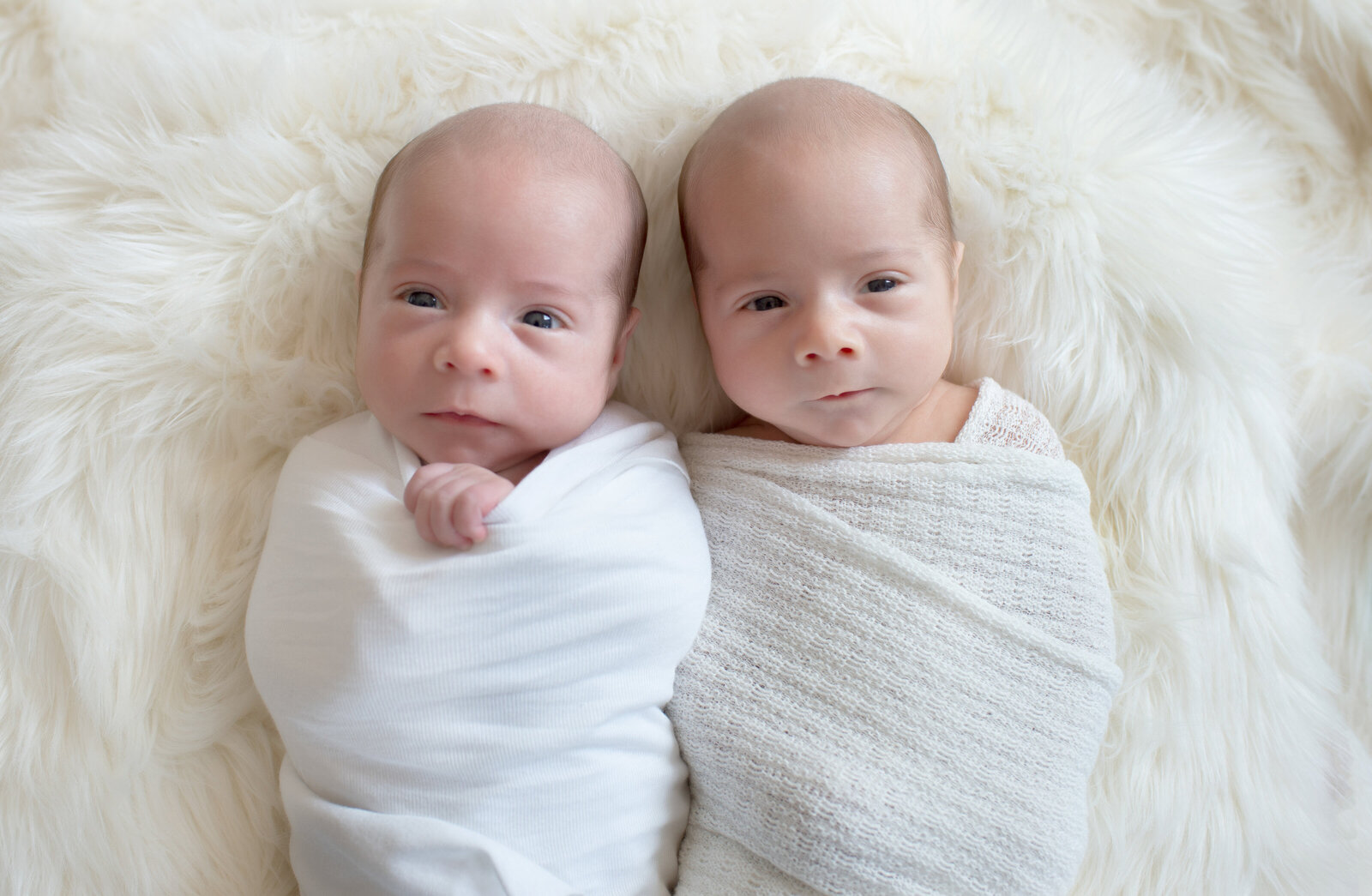 WilliamandAlexander-2-2