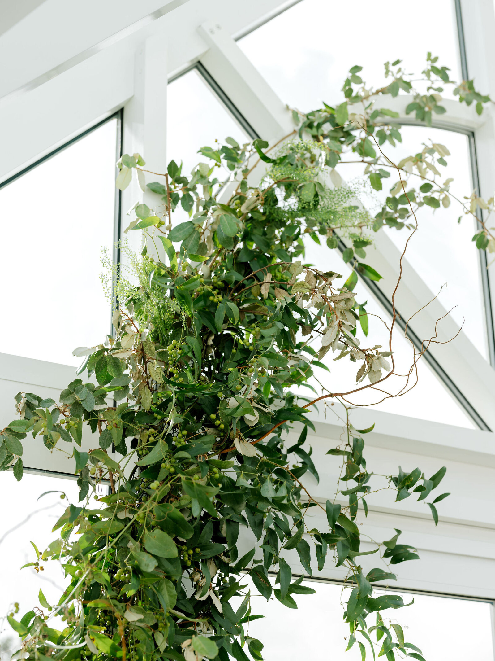 greenhouse-on-harvard-wedding-photography-60