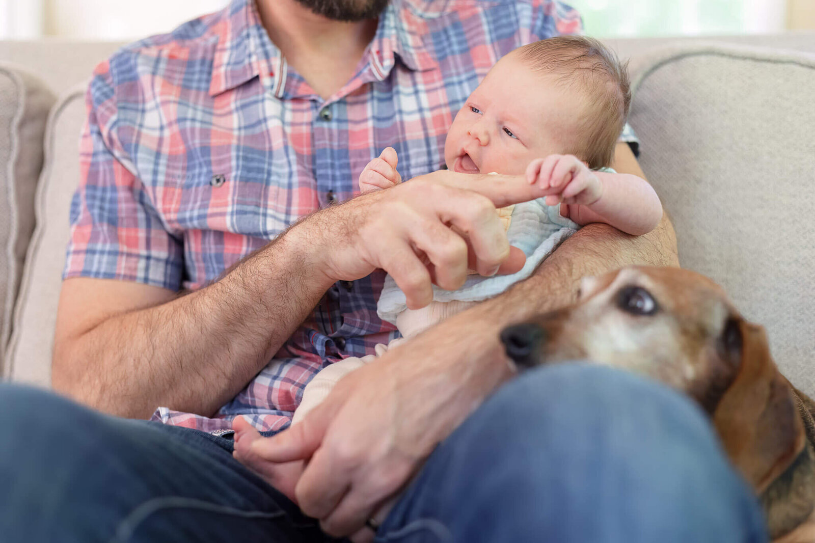 A close-up of a newborn girl holding her dad's finger with a dog's face in the foreground.