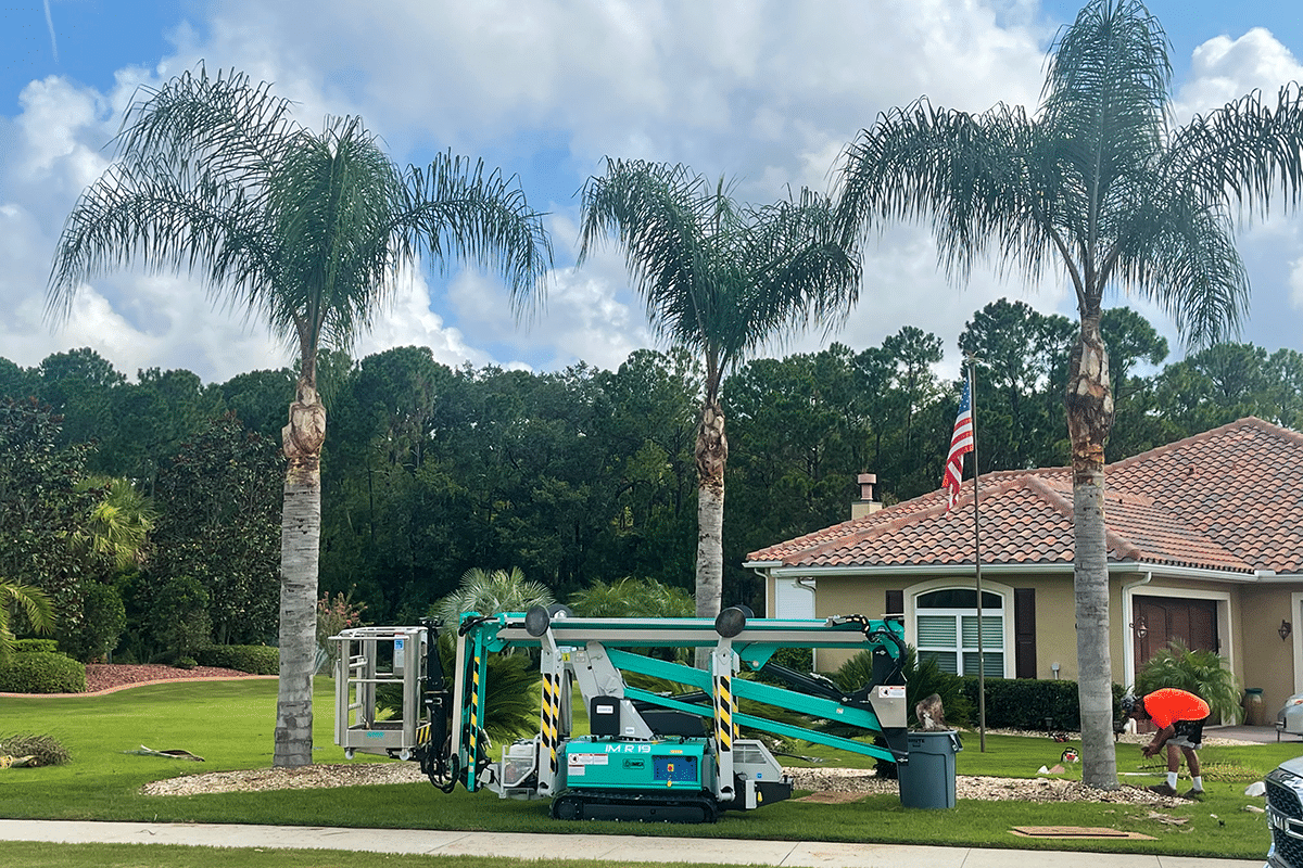 Spider-Tree-Trimming-Eqiupment-Used-at-East-Coast-Lawn-Service