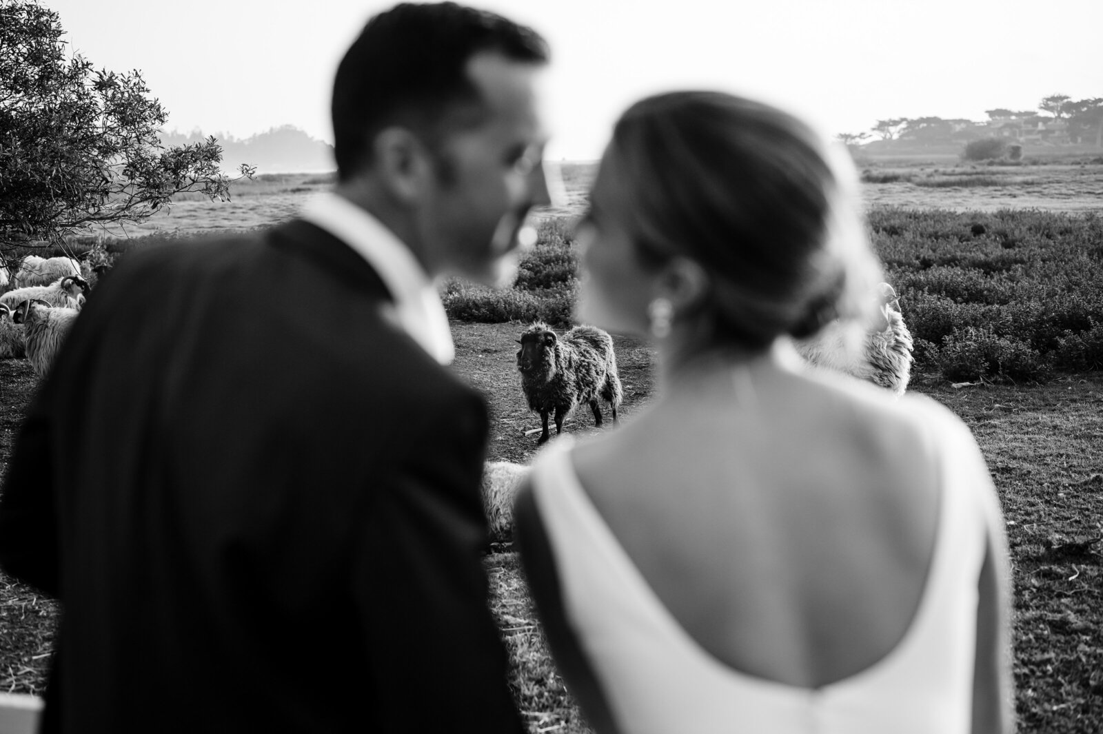 Sf-wedding- photographer2