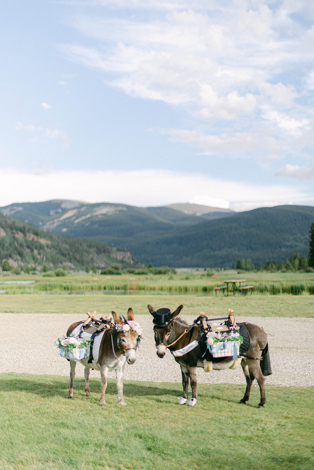 Camp Hale Mountain Wedding 97