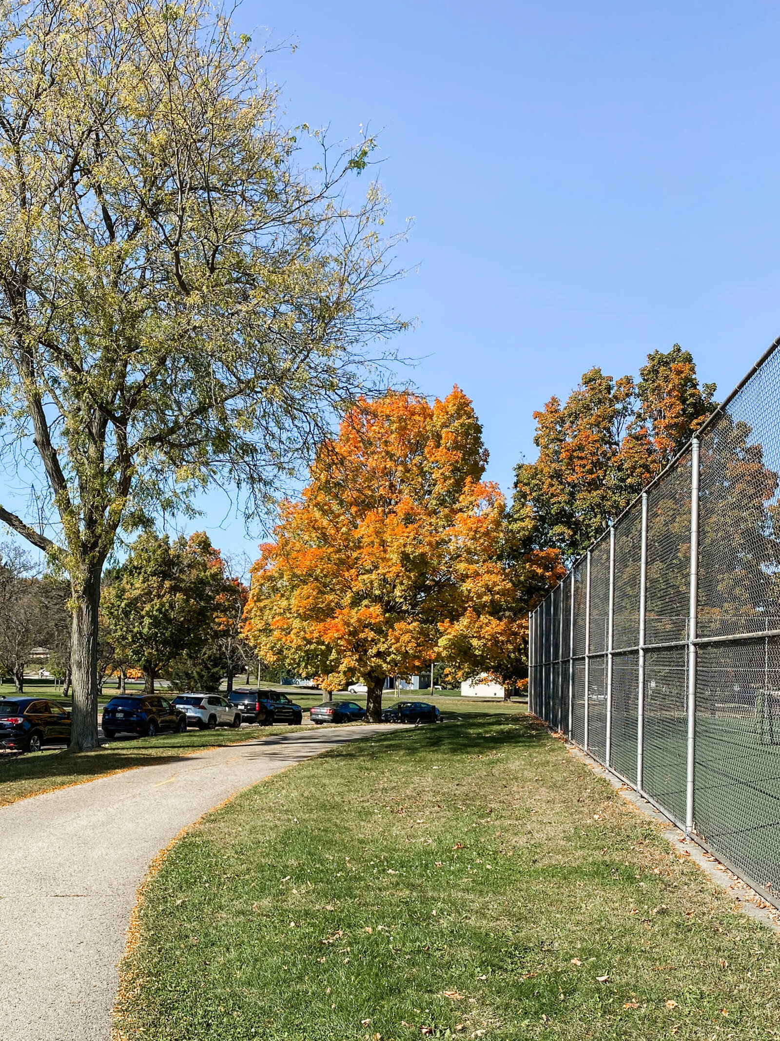 Midvale Heights-4