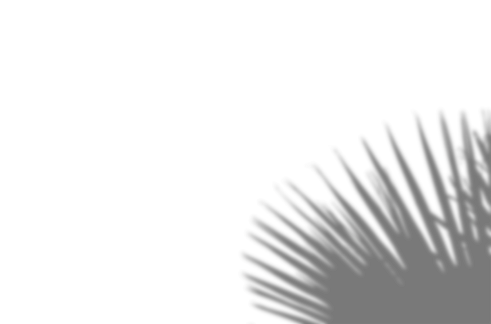 shadow