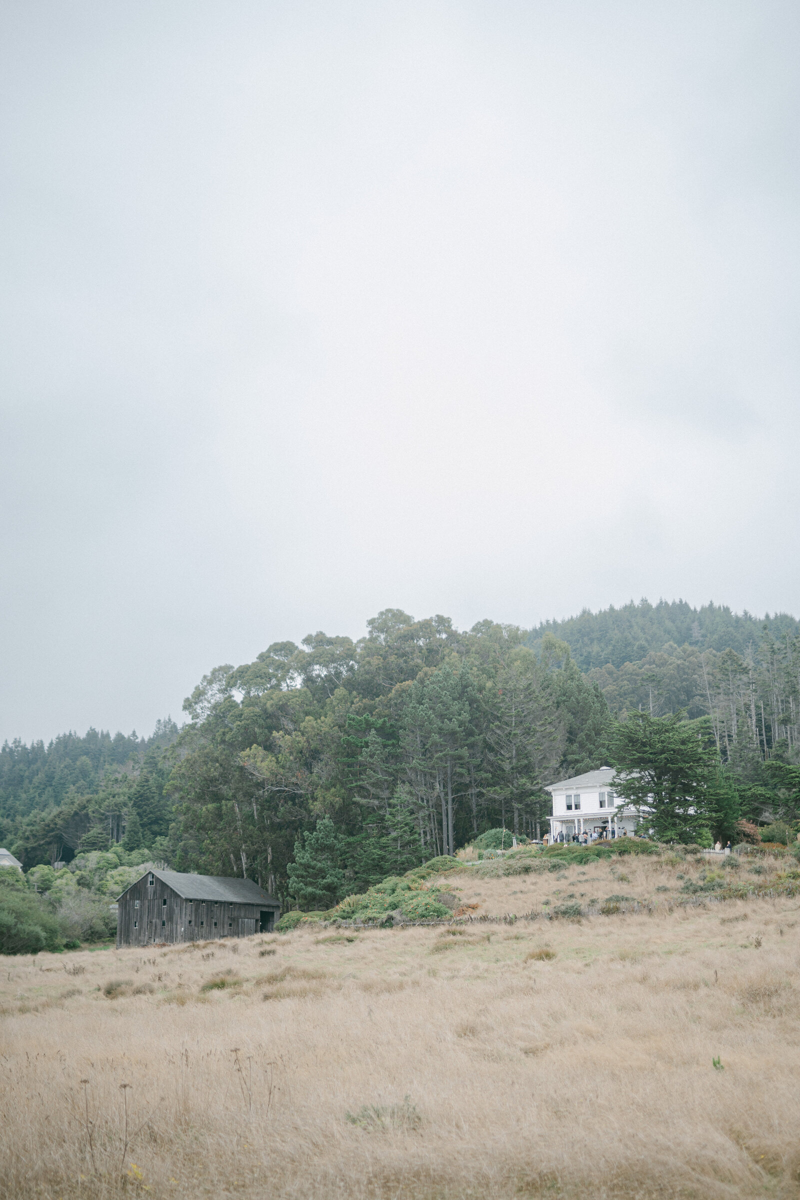 Switzer Farm-7