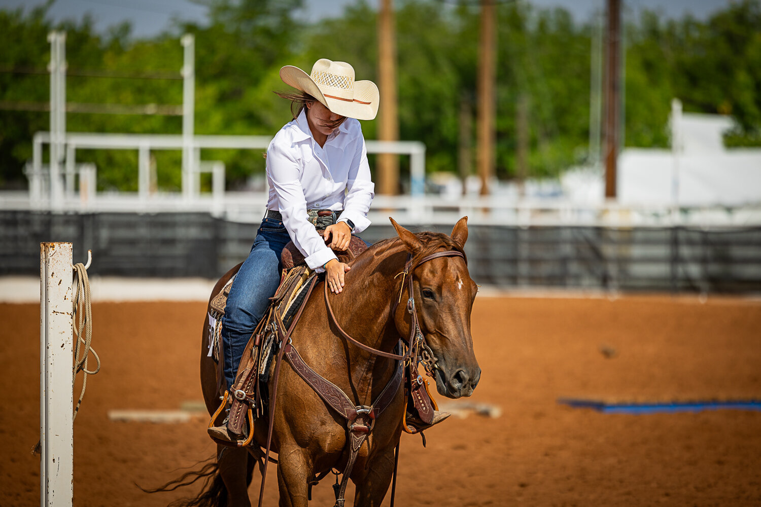 New-Mexico-Horse-Show-Photographer-013