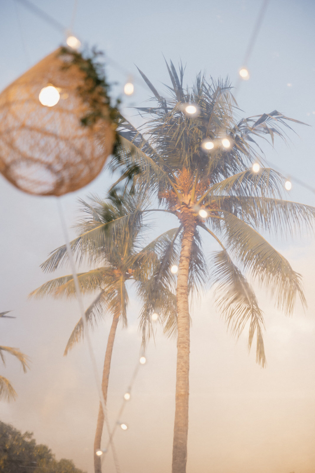 oahu-wedding-photographer-mersadi-olson-138_websize