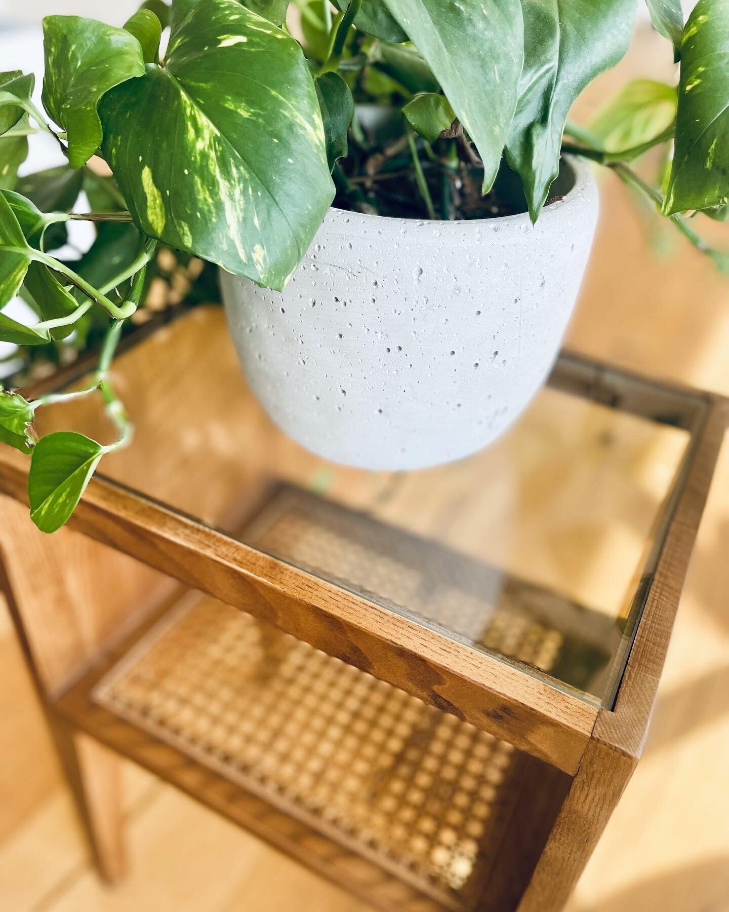 FFCC028E-325D-4BEE-BCF8-1A96C83952C9