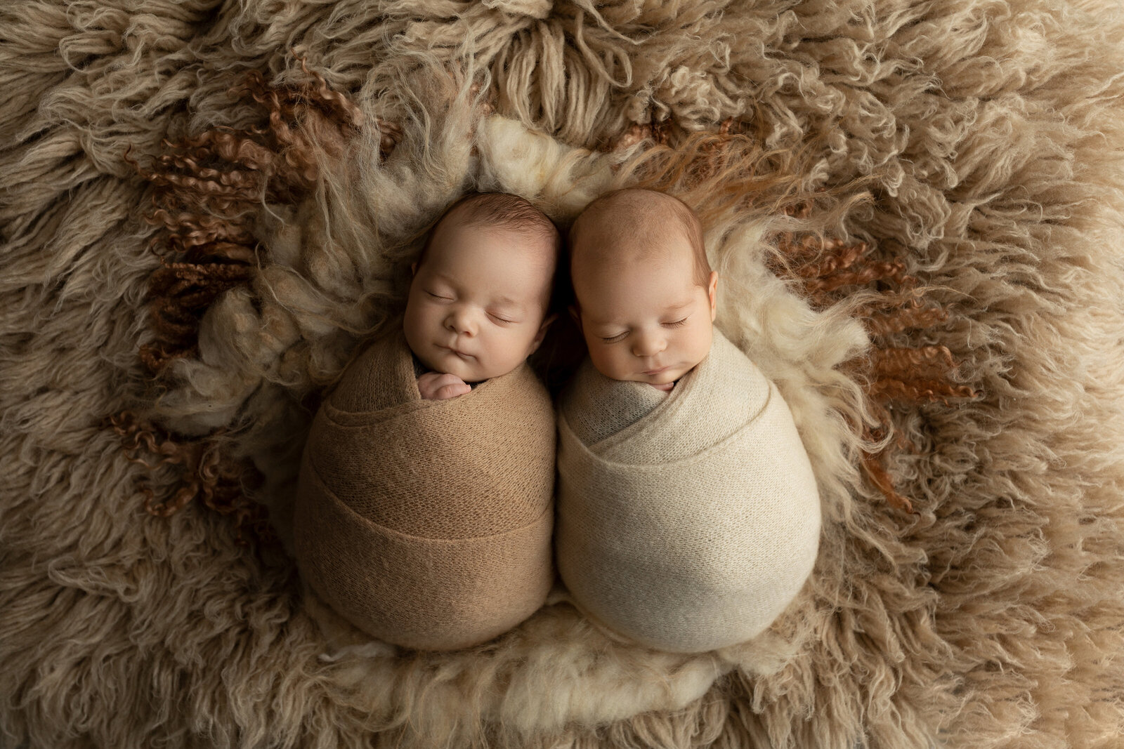 London, ON Newborn Photographer | Multiples and Twins | Ogg Photography