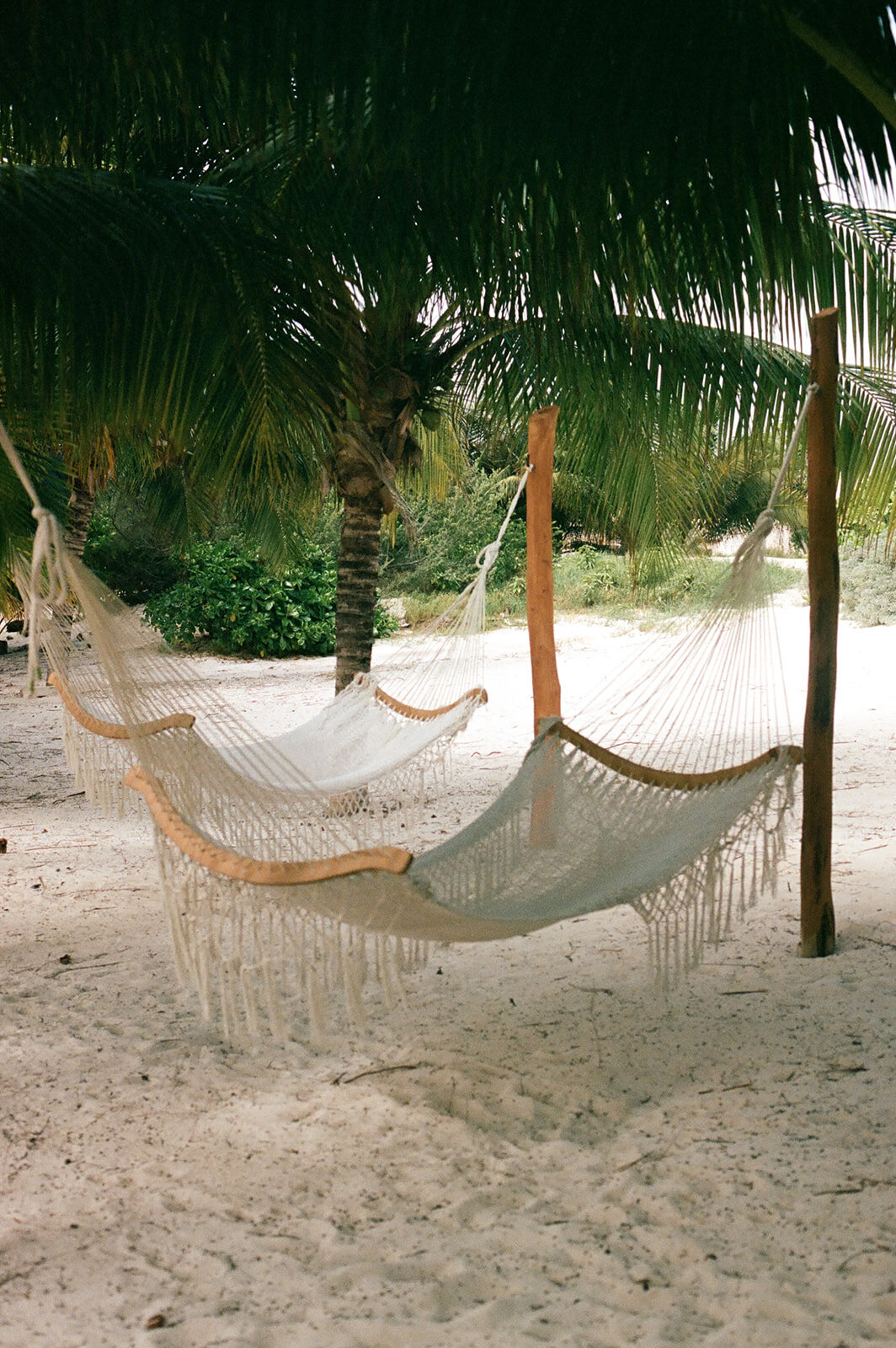 628920150001-2_websize