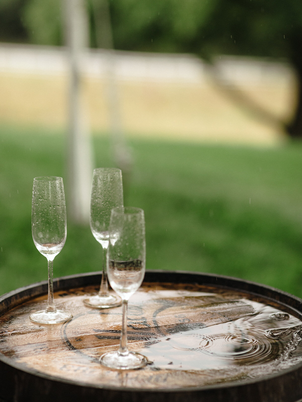 2021 Jenny Shipley Wedding CS Vendor-214