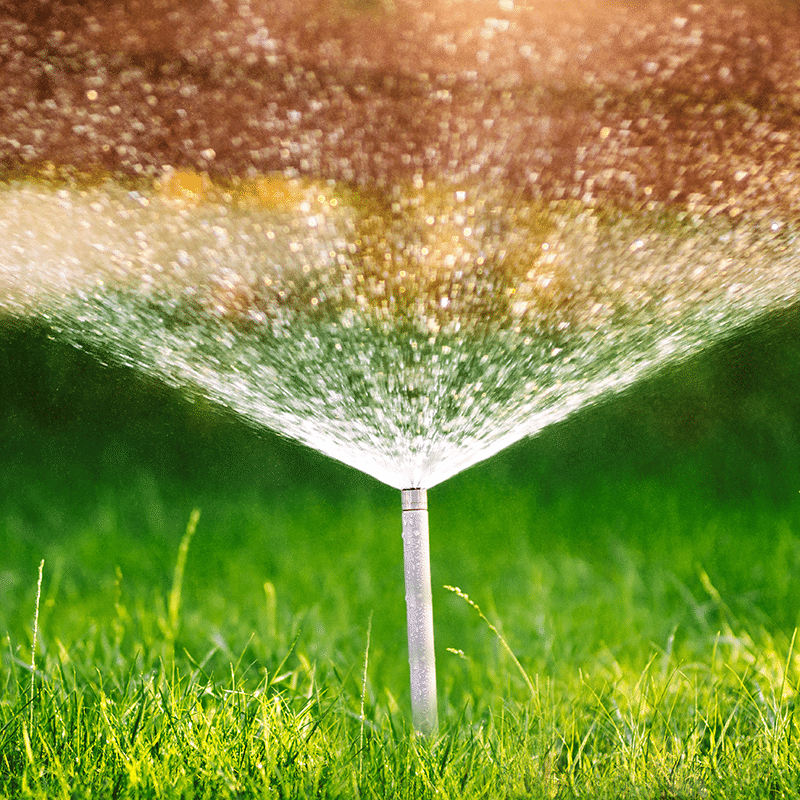East-Coast-Lawn-and-Landscaping-services-daytona-beach-1