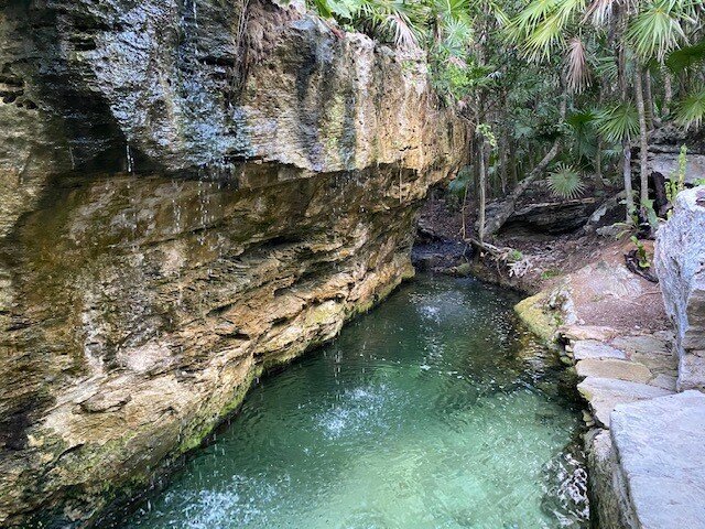 Palmaia-Cenote