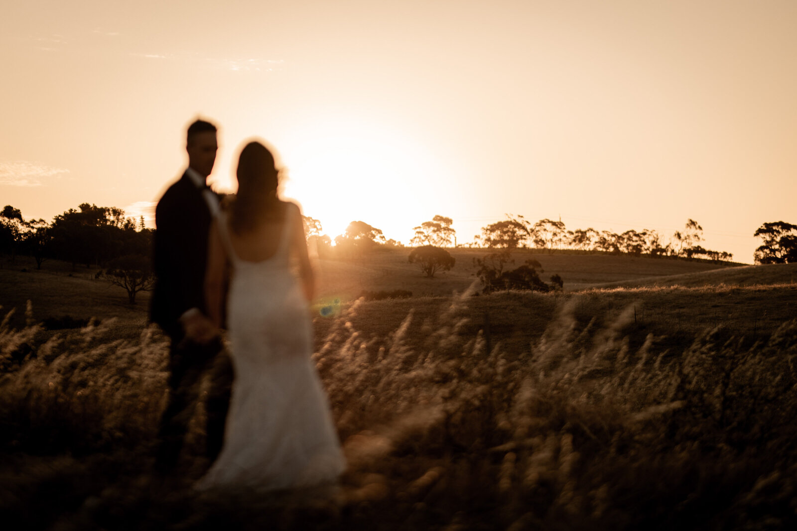 231103-Cassie-Corbin-Rexvil-Photography-Adelaide-Wedding-Photographer-749