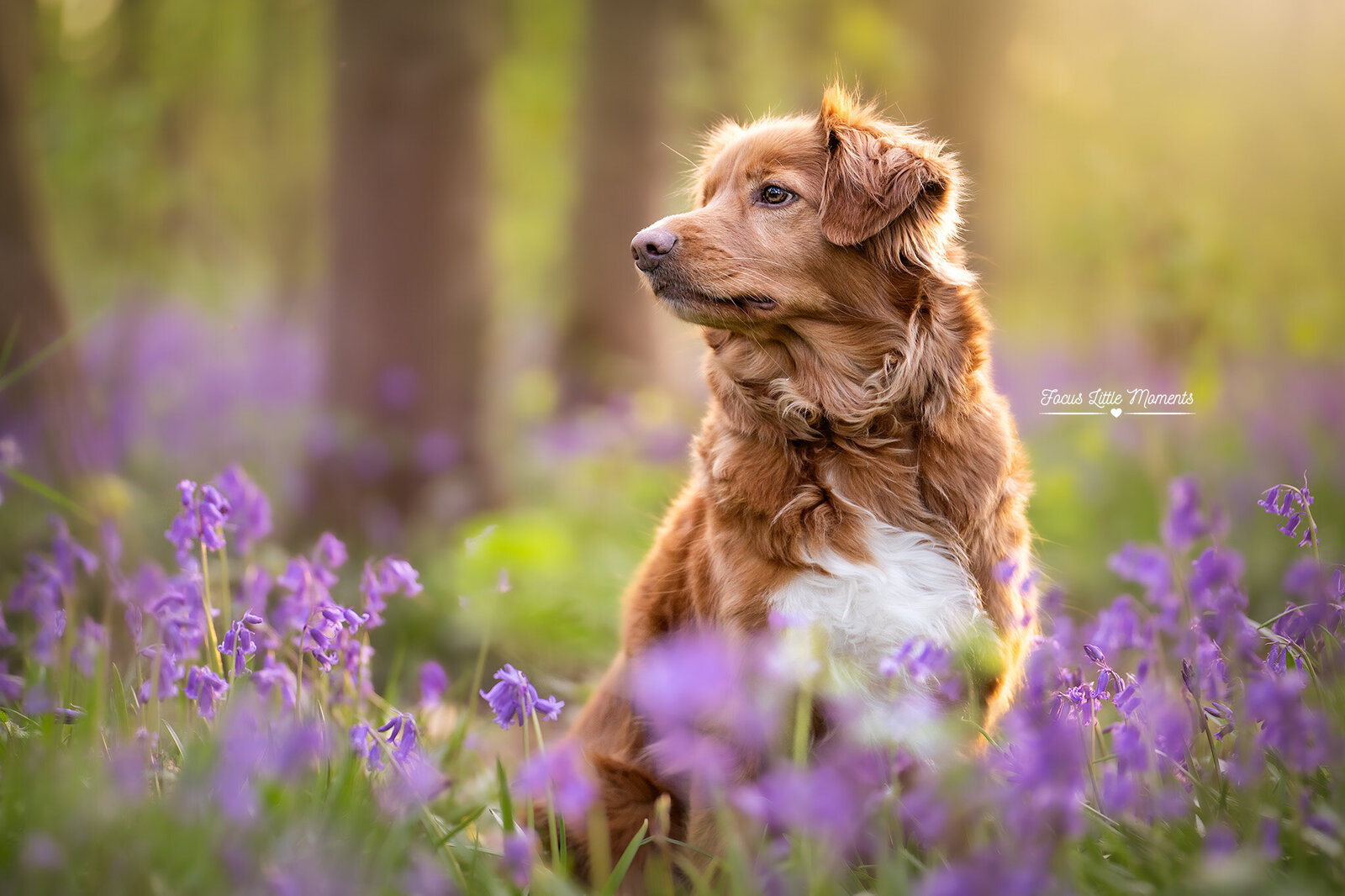 _DSC2181-bewerkt
