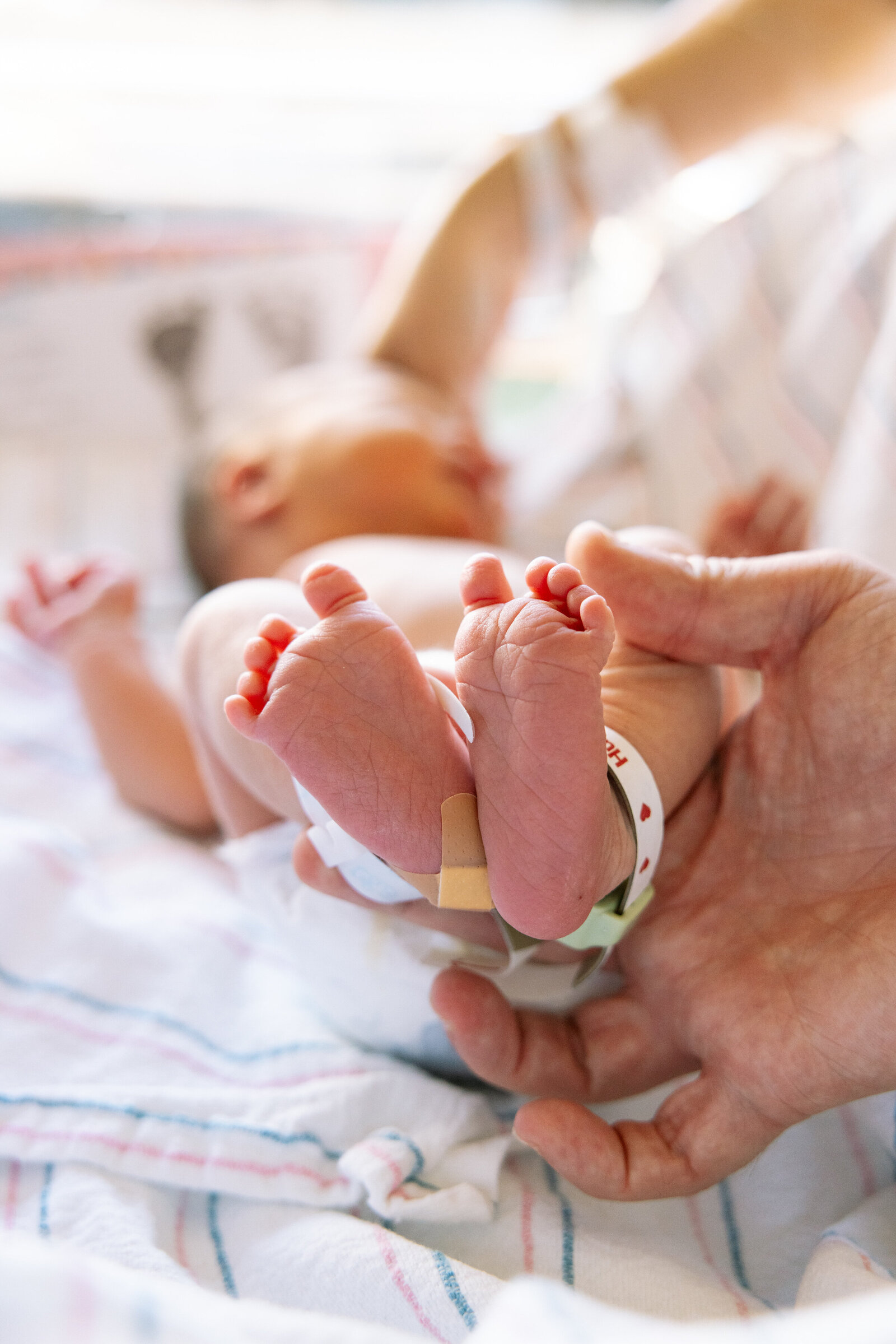 san francisco fresh 48 newborn photos