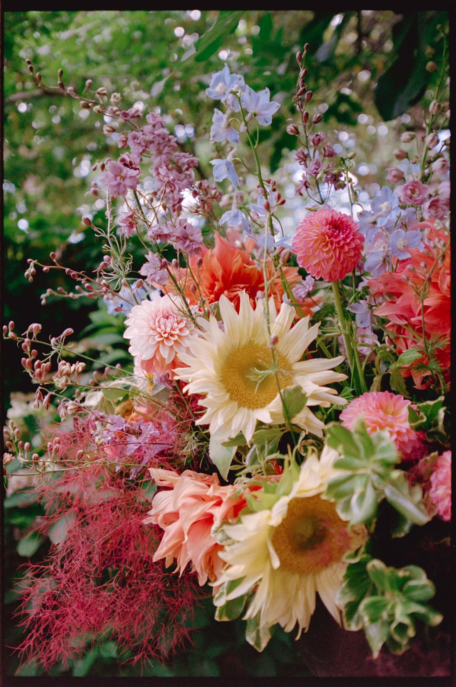 Seattle-Wedding-Jess-Buckley-Photo-Film-24