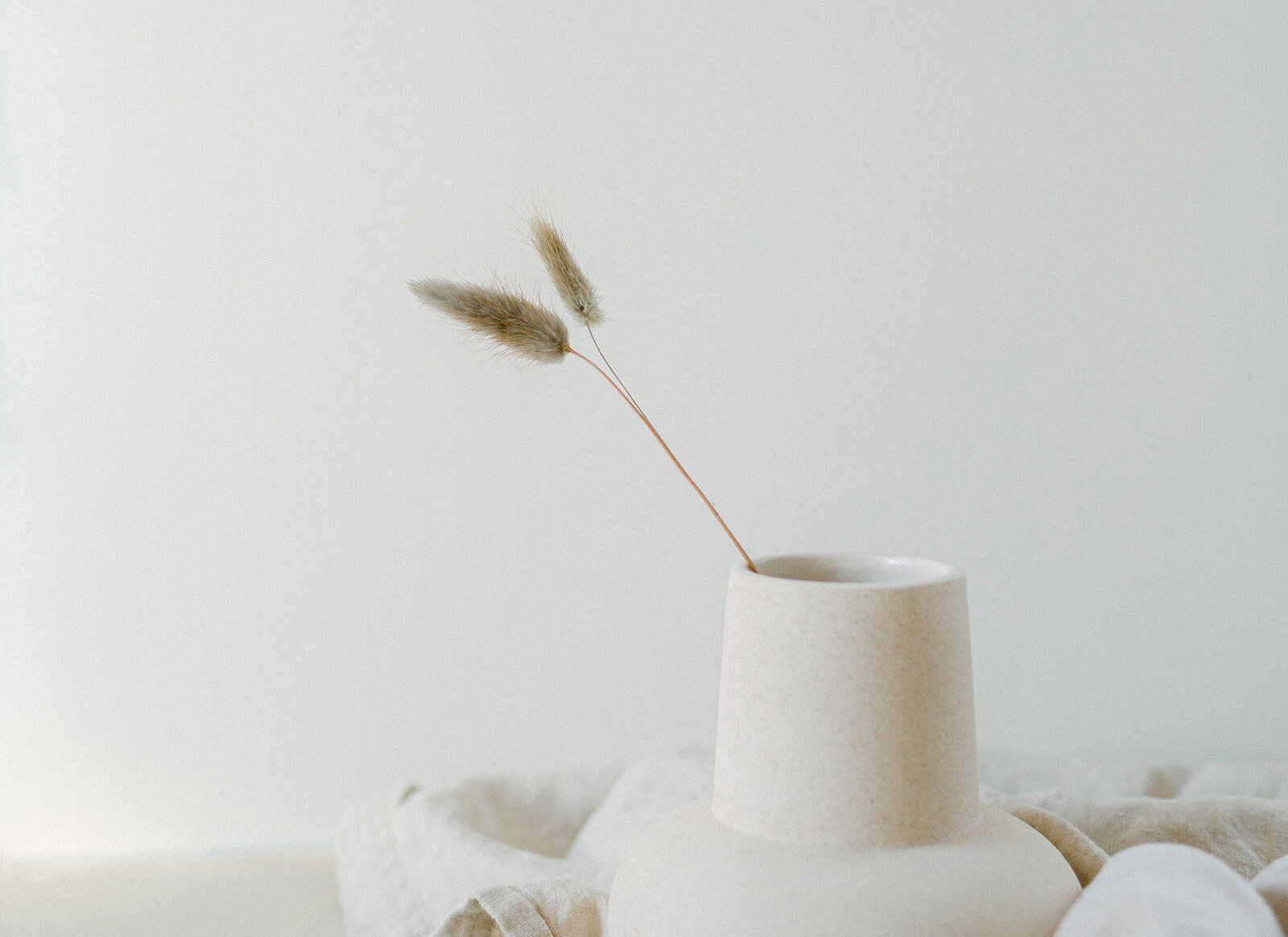 stilleven vaas met droogbloemen