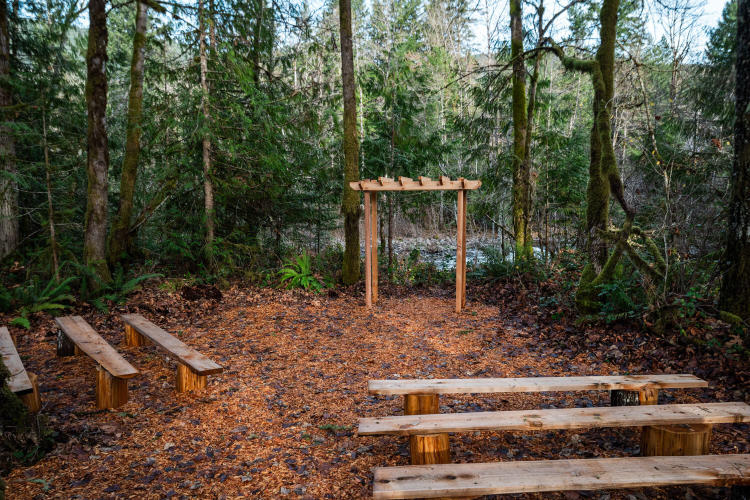 Forest ceremony site with wooden benches and arch